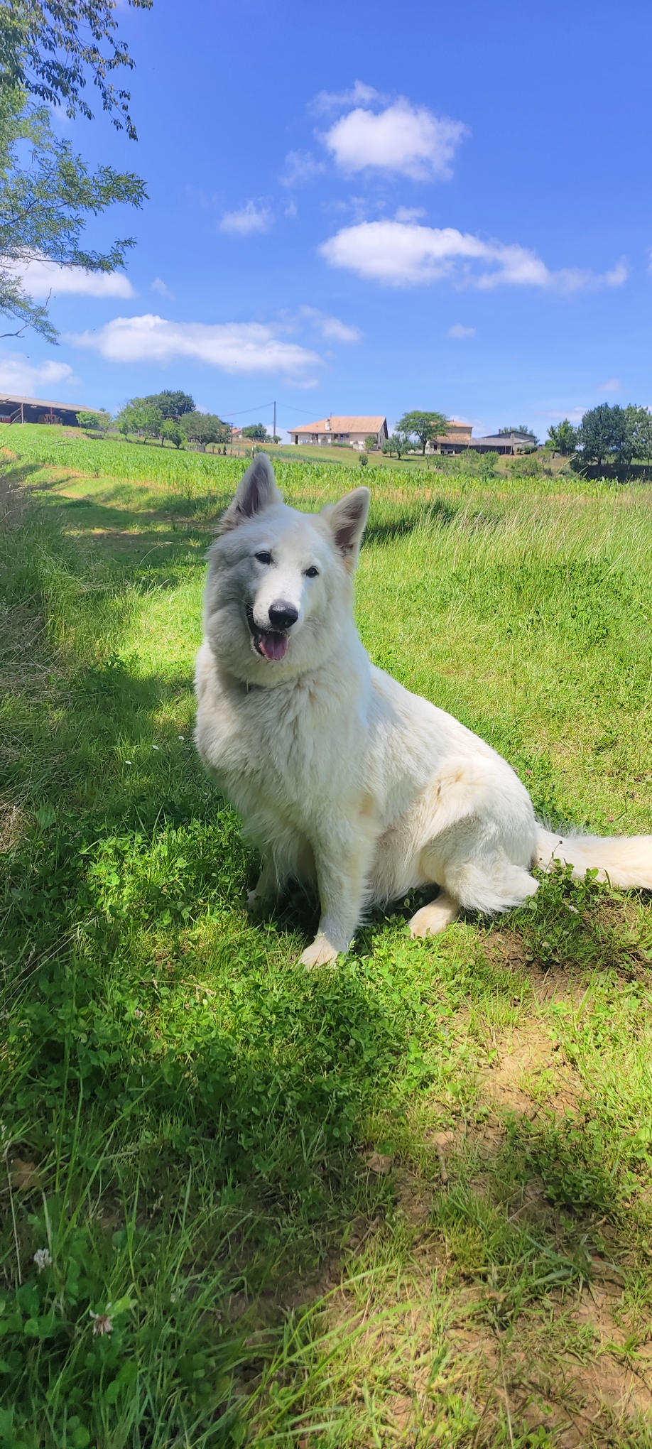 Opale en balade fin mai